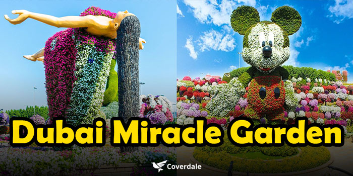 dubai miracle garden