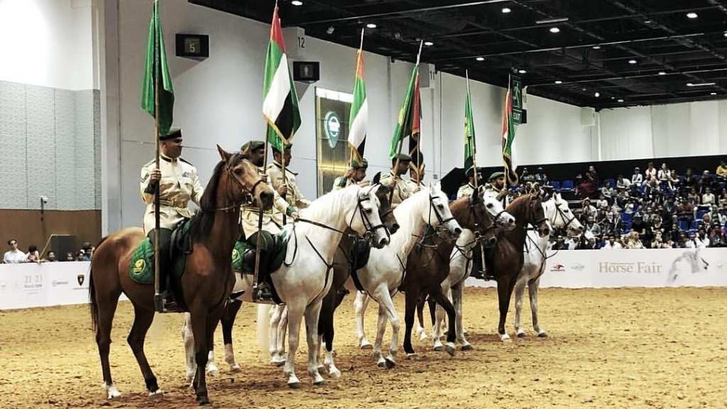 نمایشگاه بین المللی اسب دبی 2023